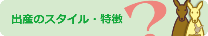 出産のスタイル・特徴